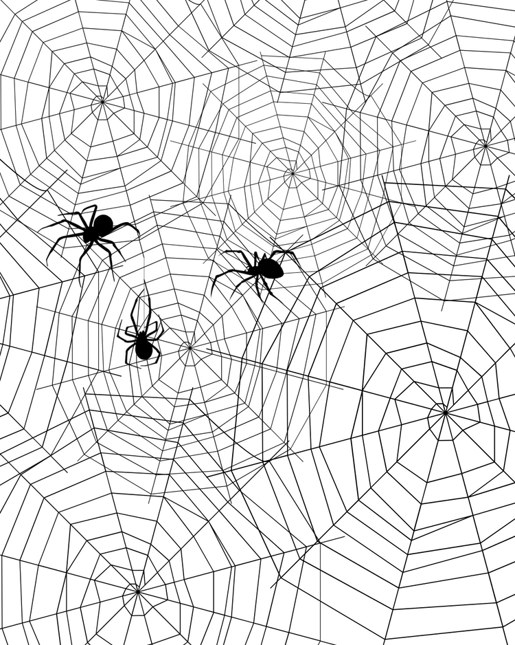 ITSY BITSY COLLECTION